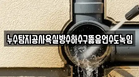 누수탐지공사욕실방수하수구뚫음언수도녹임