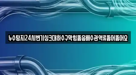 누수탐지24시변기싱크대하수구막힘뚫음배수관역류뚫어뚫어요