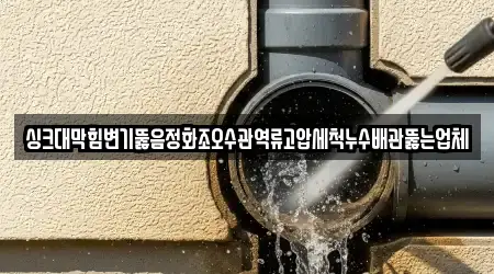 싱크대막힘변기뚫음정화조오수관역류고압세척누수배관뚫는업체