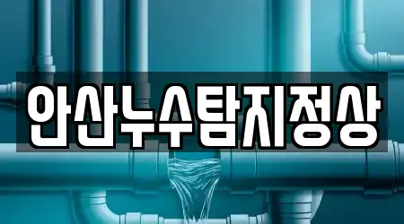 안산누수탐지정상