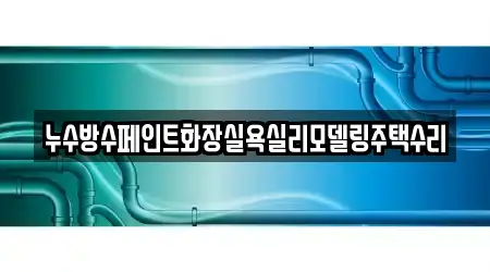 누수방수페인트화장실욕실리모델링주택수리