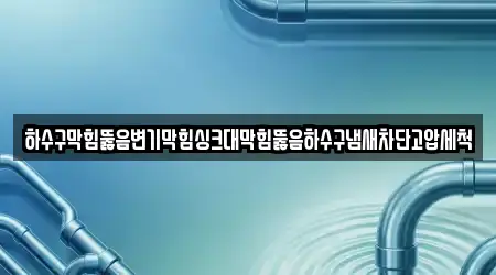하수구막힘뚫음변기막힘싱크대막힘뚫음하수구냄새차단고압세척