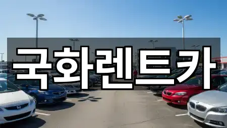 바로 한눈에: 양주시 장흥면렌트카 4곳