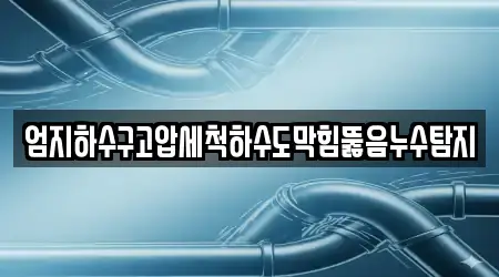 엄지하수구고압세척하수도막힘뚫음누수탐지