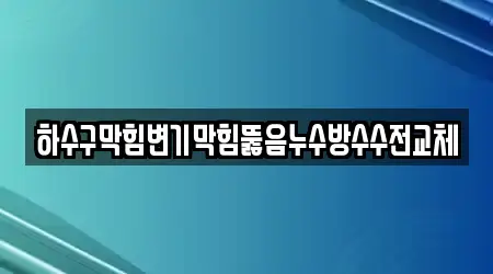 하수구막힘변기막힘뚫음누수방수수전교체