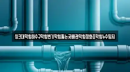싱크대막힘하수구막힘변기막힘뚫는곳배관막힘정화조막힘누수탐지