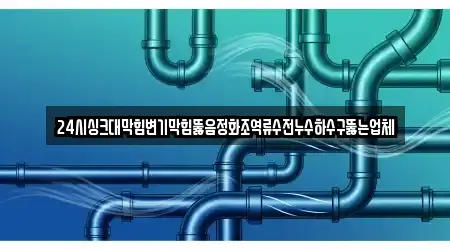 24시싱크대막힘변기막힘뚫음정화조역류수전누수하수구뚫는업체