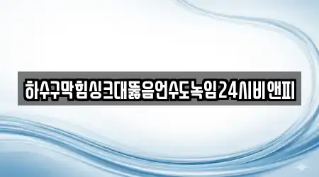 하수구막힘싱크대뚫음언수도녹임24시비앤피