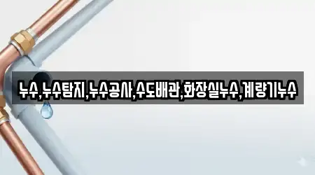 누수,누수탐지,누수공사,수도배관,화장실누수,계량기누수