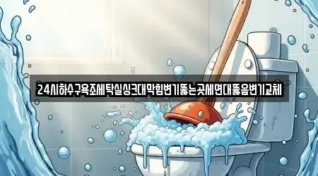 24시하수구욕조세탁실싱크대막힘변기뚫는곳세면대뚫음변기교체