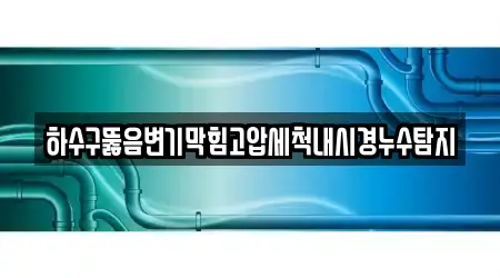 하수구뚫음변기막힘고압세척내시경누수탐지