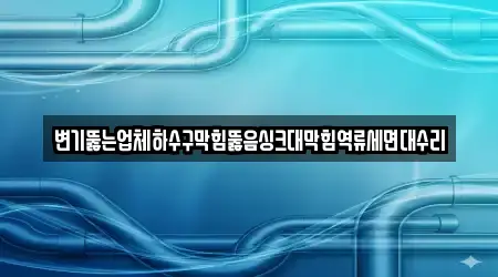 변기뚫는업체하수구막힘뚫음싱크대막힘역류세면대수리