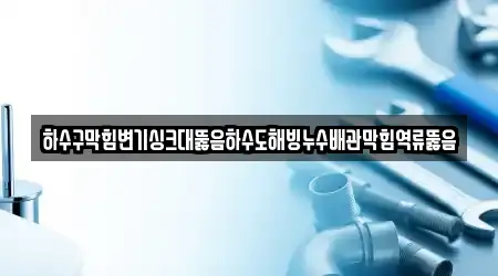 하수구막힘변기싱크대뚫음하수도해빙누수배관막힘역류뚫음