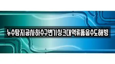누수탐지공사하수구변기싱크대역류뚫음수도해빙
