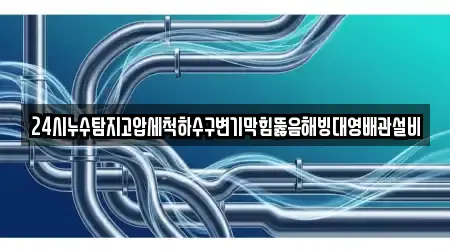 24시누수탐지고압세척하수구변기막힘뚫음해빙대영배관설비