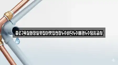 종로구욕실화장실윗집아랫집천장누수바닥누수배관누수탐지공사