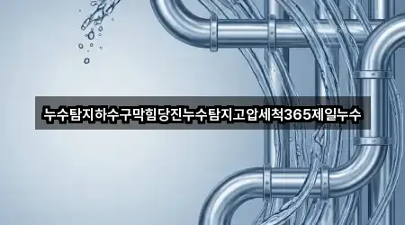 누수탐지하수구막힘당진누수탐지고압세척365제일누수
