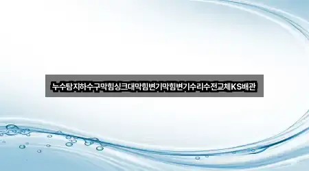 누수탐지하수구막힘싱크대막힘변기막힘변기수리수전교체KS배관