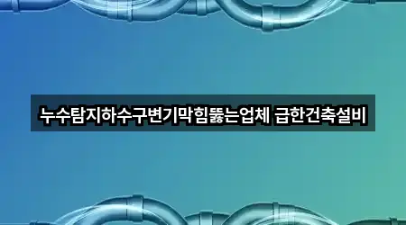 누수탐지하수구변기막힘뚫는업체 급한건축설비