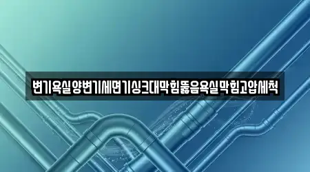 변기욕실양변기세면기싱크대막힘뚫음욕실막힘고압세척
