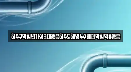 하수구막힘변기싱크대뚫음하수도해빙누수배관막힘역류뚫음
