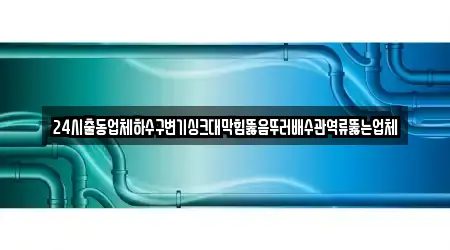24시출동업체하수구변기싱크대막힘뚫음뚜러배수관역류뚫는업체