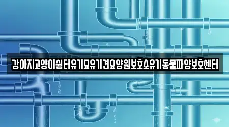 강아지고양이쉼터유기묘유기견요양원보호소유기동물파양보호센터