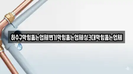 하수구막힘뚫는업체변기막힘뚫는업체싱크대막힘뚫는업체