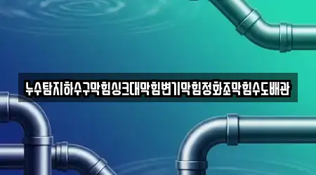 누수탐지하수구막힘싱크대막힘변기막힘정화조막힘수도배관