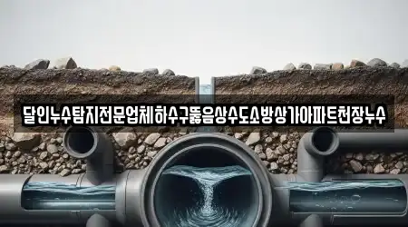 달인누수탐지전문업체하수구뚫음상수도소방상가아파트천장누수