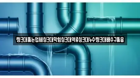 씽크대뚫는업체싱크대막힘싱크대역류싱크대누수씽크대배수구뚫음