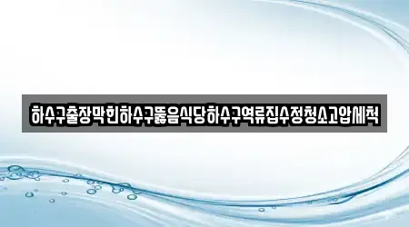 누수탐지 최신 단원구 대부동동 14곳 지도