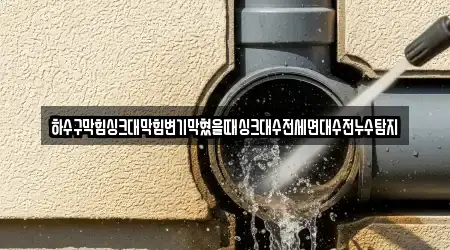 하수구막힘싱크대막힘변기막혔을때싱크대수전세면대수전누수탐지