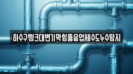 하수구씽크대변기막힘뚫음업체수도누수탐지
