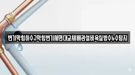 변기막힘하수구막힘변기세면대교체배관설비욕실방수누수탐지