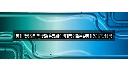 변기막힘하수구막힘뚫는업체싱크대막힘뚫는곳변기수리고압세척