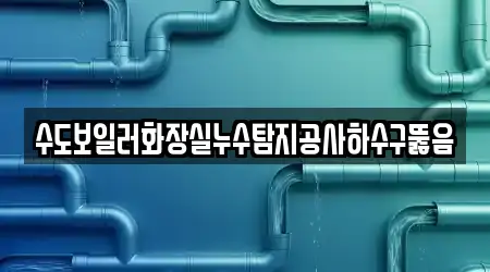 수도보일러화장실누수탐지공사하수구뚫음