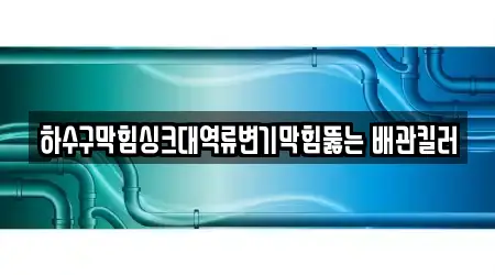 16건 대구 이곡동 변기막힘,싱크대뚫음,누수,하수구뚫음,싱크대막힘 업체 정보