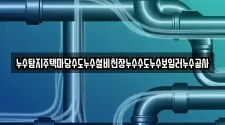 누수탐지주택마당수도누수설비천장누수수도누수보일러누수공사