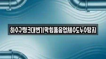 하수구씽크대변기막힘뚫음업체수도누수탐지