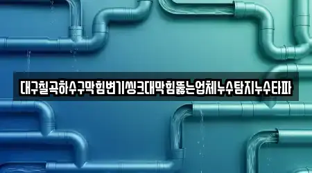 대구칠곡하수구막힘변기씽크대막힘뚫는업체누수탐지누수타파