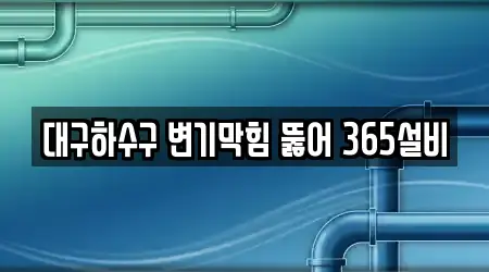 대구하수구 변기막힘 뚫어 365설비