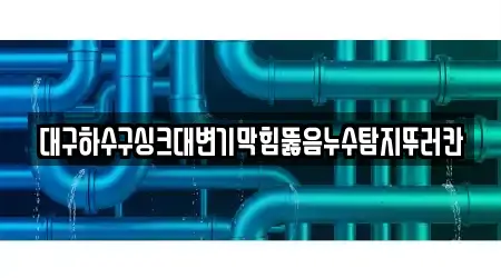 대구하수구싱크대변기막힘뚫음누수탐지뚜러칸