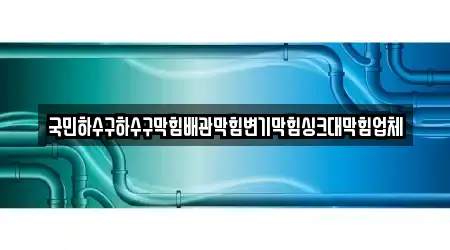 국민하수구하수구막힘배관막힘변기막힘싱크대막힘업체