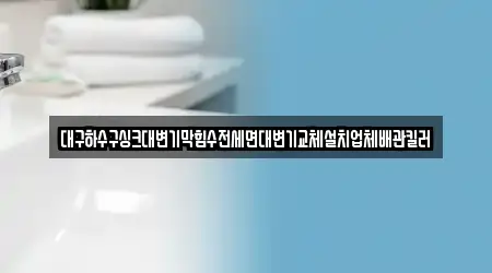 대구하수구싱크대변기막힘수전세면대변기교체설치업체배관킬러