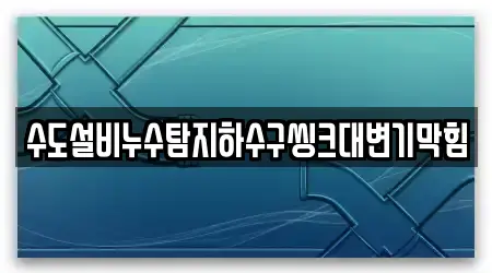 수도설비누수탐지하수구씽크대변기막힘