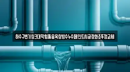 하수구변기싱크대막힘뚫음옥상방수누수페인트시공정화조뚜껑교체
