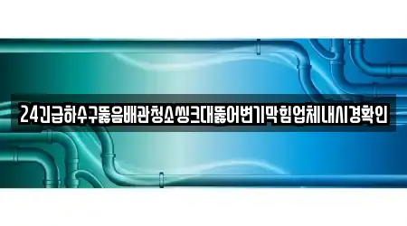24긴급하수구뚫음배관청소씽크대뚫어변기막힘업체내시경확인