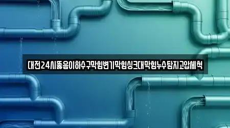 대전24시뚫음이하수구막힘변기막힘싱크대막힘누수탐지고압세척