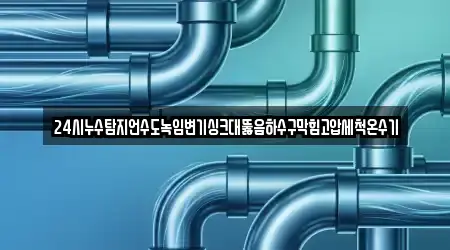 24시누수탐지언수도녹임변기싱크대뚫음하수구막힘고압세척온수기